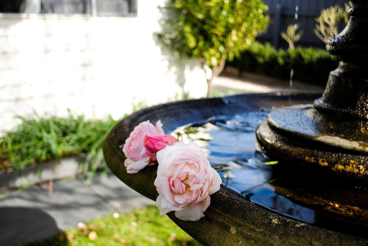 Bed Of Roses Vila Apollo Bay Exterior foto